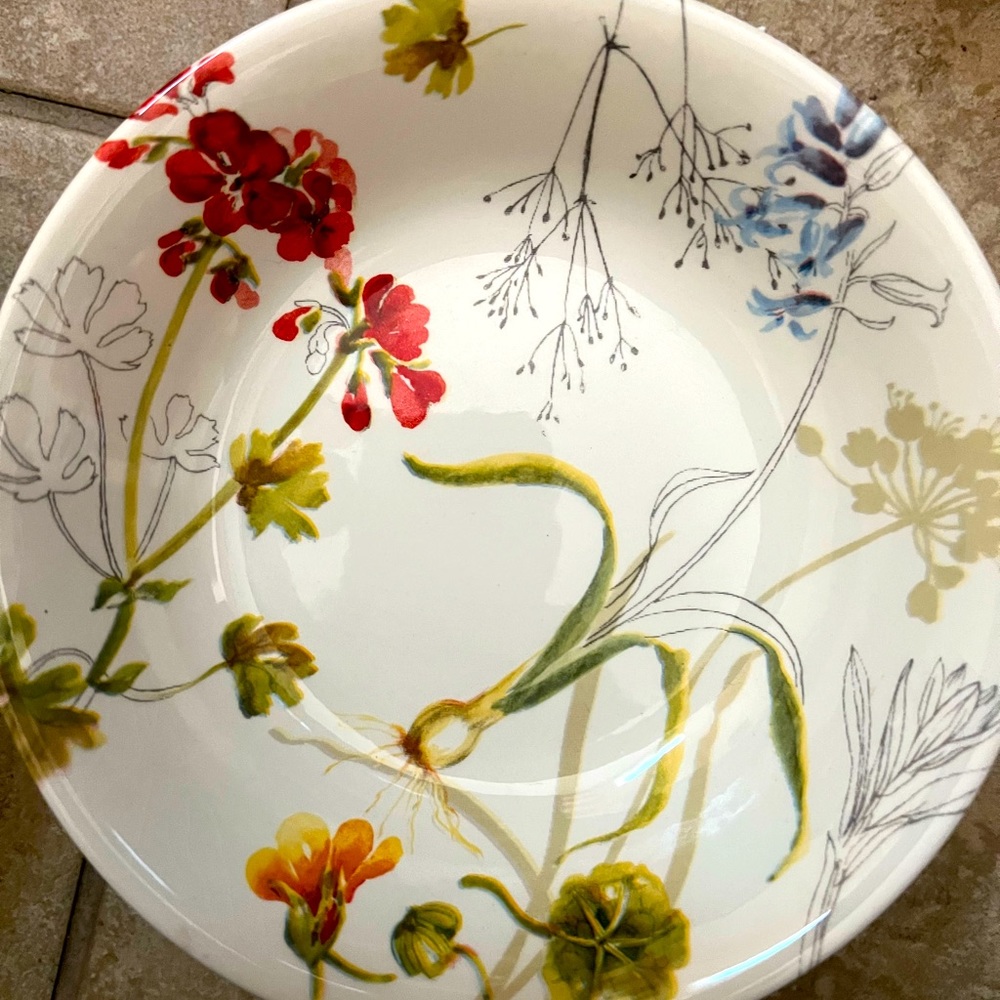 Royal Stafford Sketchbook Dinner Plates 11”